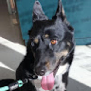 Meet your Posher, Kela